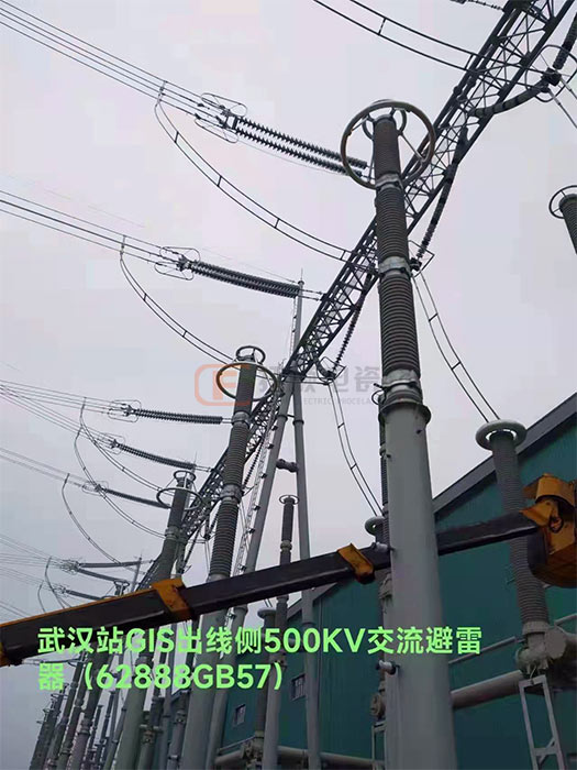 武汉500KV交流避雷器.jpg