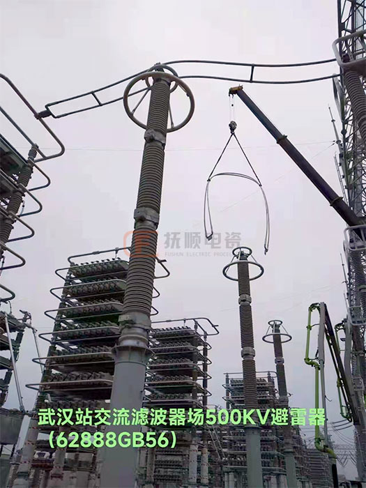武汉交流滤波器500KV避雷器.jpg