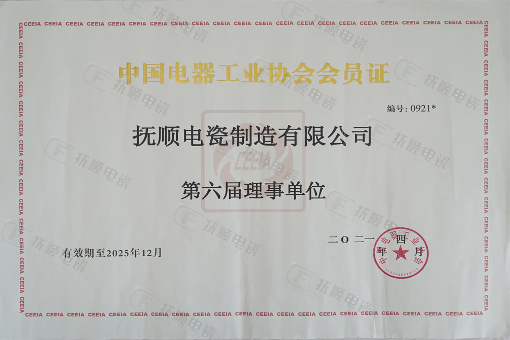 中国电器工业协会理事单位.jpg