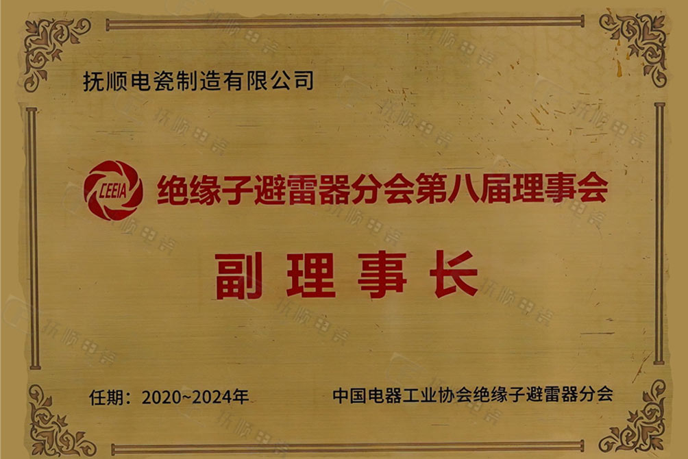 绝缘子避雷器分会副理事长.jpg
