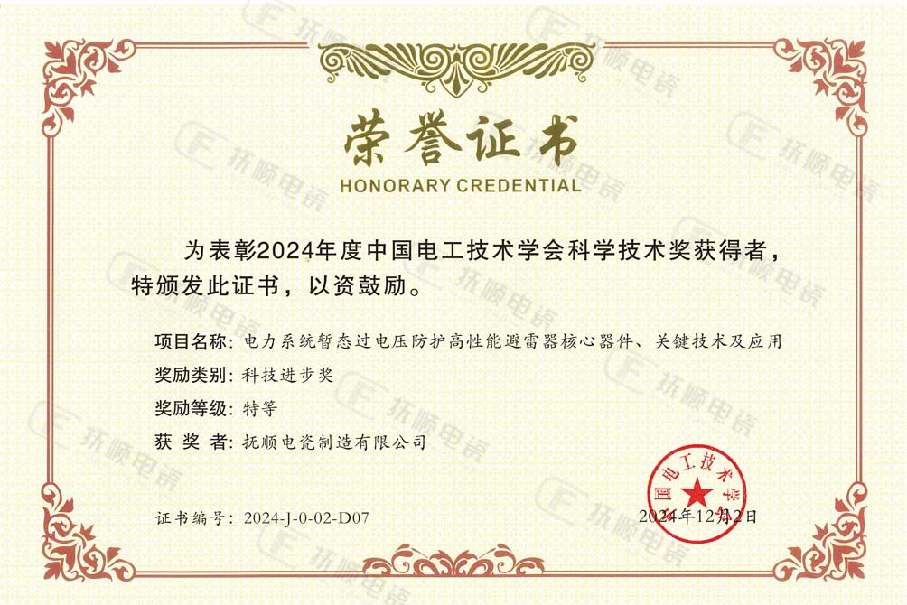 2024年中国电工技术学会科学技术奖-特等奖.jpg